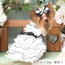 画像をギャラリービューアに読み込む, 【NEW】プリッセドレス
