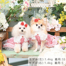 画像をギャラリービューアに読み込む, 【NEW】ブリジットワンピース
