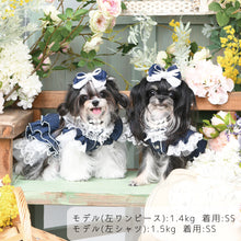 画像をギャラリービューアに読み込む, 【NEW】ラ・ヴァーグワンピース
