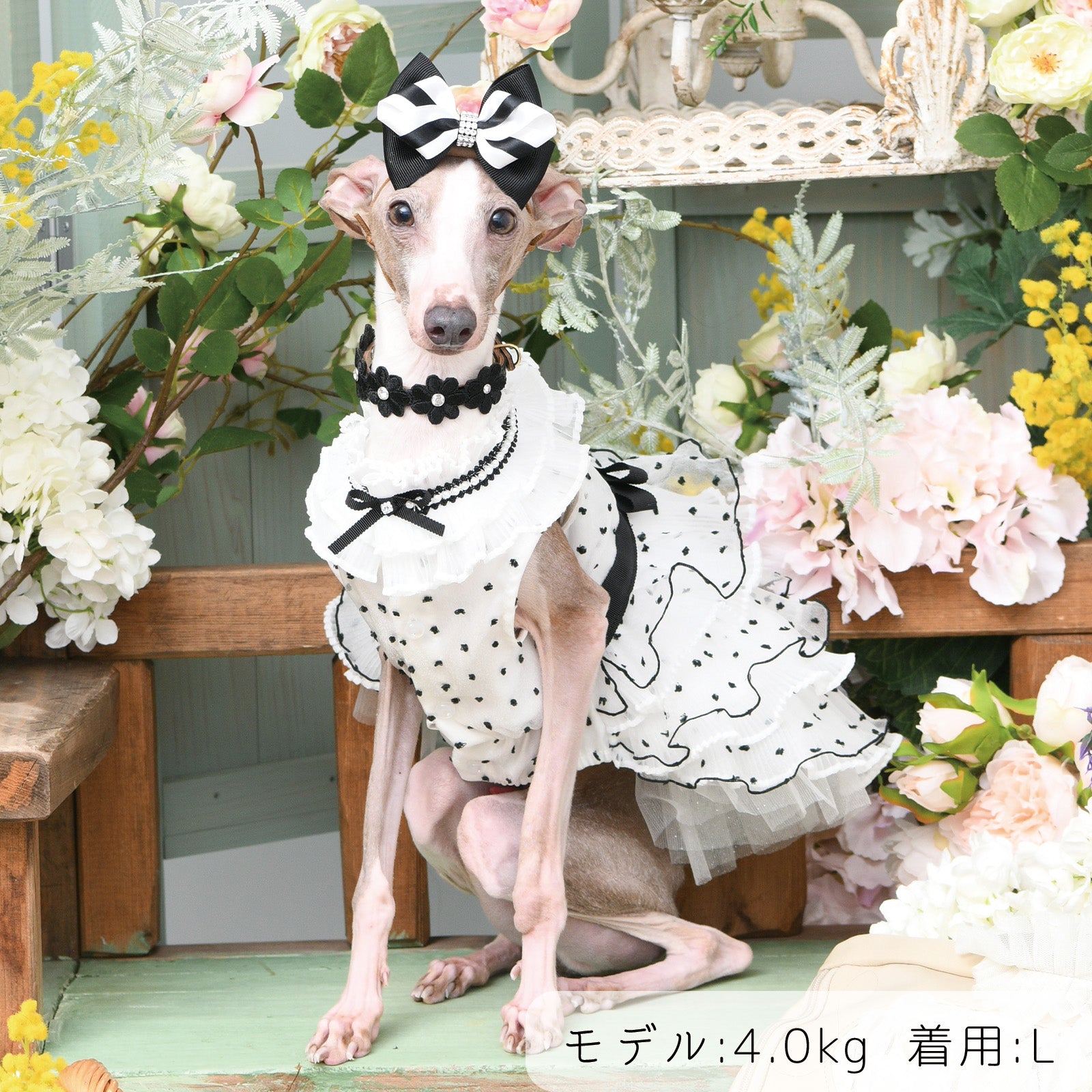 リュクスバーディ　luxebirdie プリッセドレスM NEW】プリッセドレス – Luxebirdie