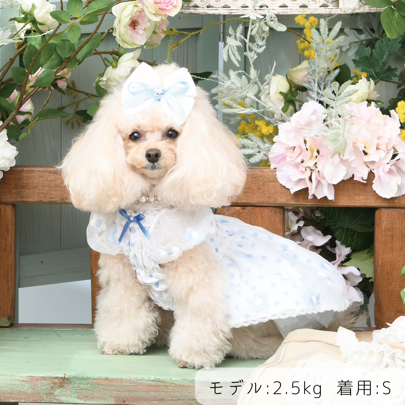 NEW】オードリーワンピース – Luxebirdie