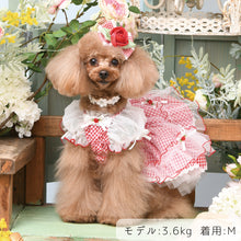 画像をギャラリービューアに読み込む, 【NEW】ブリジットワンピース
