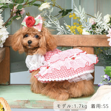 画像をギャラリービューアに読み込む, 【NEW】ブリジットワンピース
