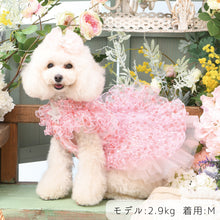 画像をギャラリービューアに読み込む, 【NEW】エール・ダンジュドレス
