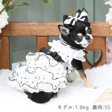 画像をギャラリービューアに読み込む, 【NEW】プリッセドレス
