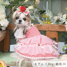 画像をギャラリービューアに読み込む, 【NEW】ブリジットワンピース
