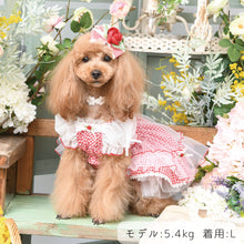 画像をギャラリービューアに読み込む, 【NEW】ブリジットワンピース
