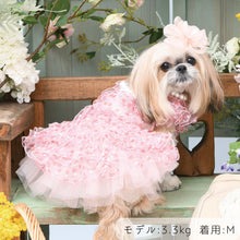 画像をギャラリービューアに読み込む, 【NEW】エール・ダンジュドレス
