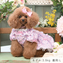 画像をギャラリービューアに読み込む, 【NEW】ブーケロンワンピース
