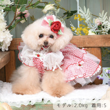 画像をギャラリービューアに読み込む, 【NEW】ブリジットワンピース
