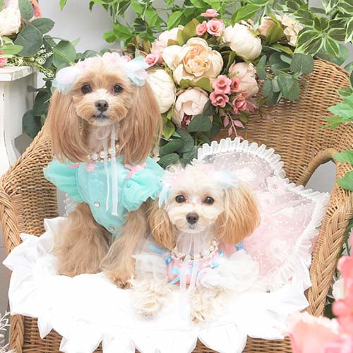 2025 Spring & Summer Collection – ページ 2 – Luxebirdie