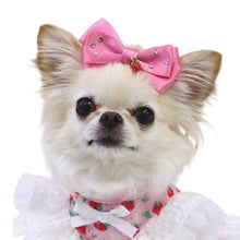 画像をギャラリービューアに読み込む, 【NEW】レ・フリュイバレッタ
