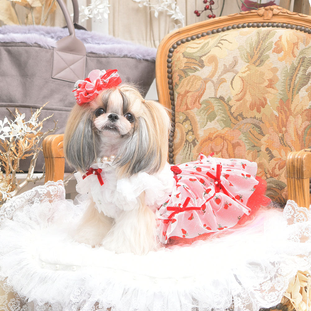 リュクスバーディ　ルージュワンピース バレッタセット リュクスバーディ ルージュワンピース バレッタセット リュクス