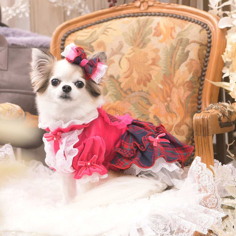 luxebirdie リュクスバーディ アイナワンピース S SALE 30%OFF】アイナワンピース – Luxebirdie