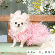 画像をギャラリービューアに読み込む, 【NEW】エール・ダンジュドレス
