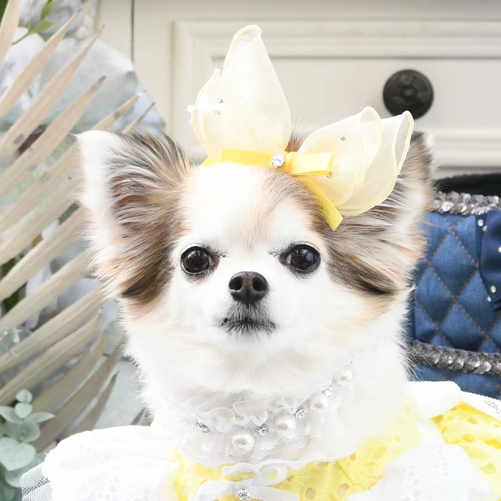 リュクスバーディ　ペダルドレス　バレッタセット ビッシーバレッタ – Luxebirdie