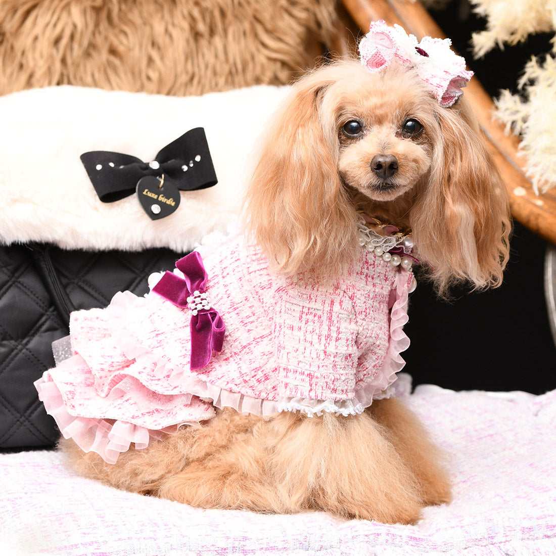 SALE70%OFF】アデルジャケット – Luxebirdie