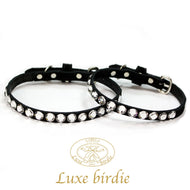 グランカラー 25