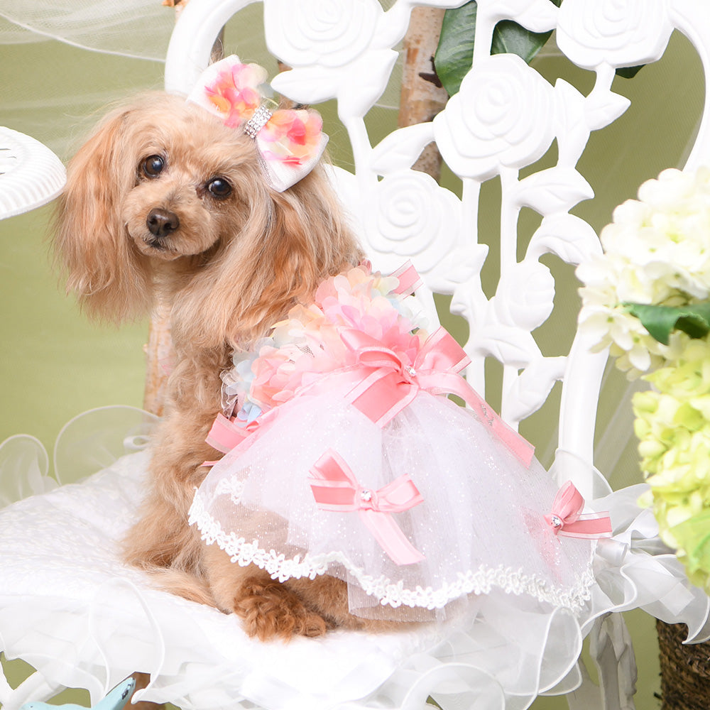 ハンドメイド犬服ꕤ*.゜DMLサイズ✩牛柄ラグランパーカーꕤ*.゜