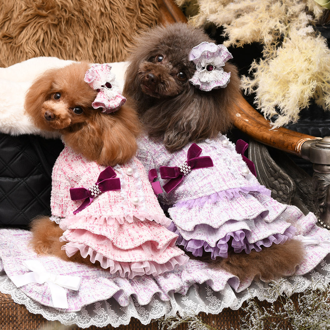 SALE70%OFF】アデルジャケット – Luxebirdie