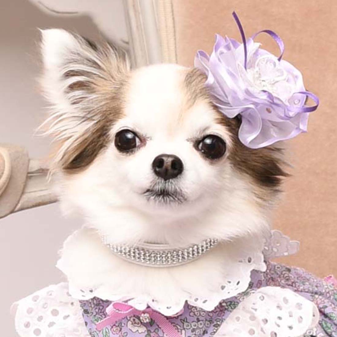 お革なバレッタ② モンシェリ2バレッタ – Luxebirdie