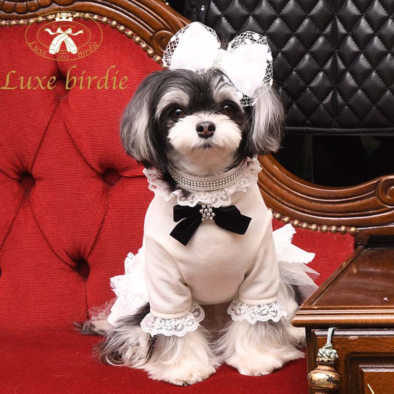 21 レーンクリスタルカラー【Luxebirdie】リュクスバーディ\首輪 21 レーンクリスタルカラー【Luxebirdie】リュクスバーディ\首輪