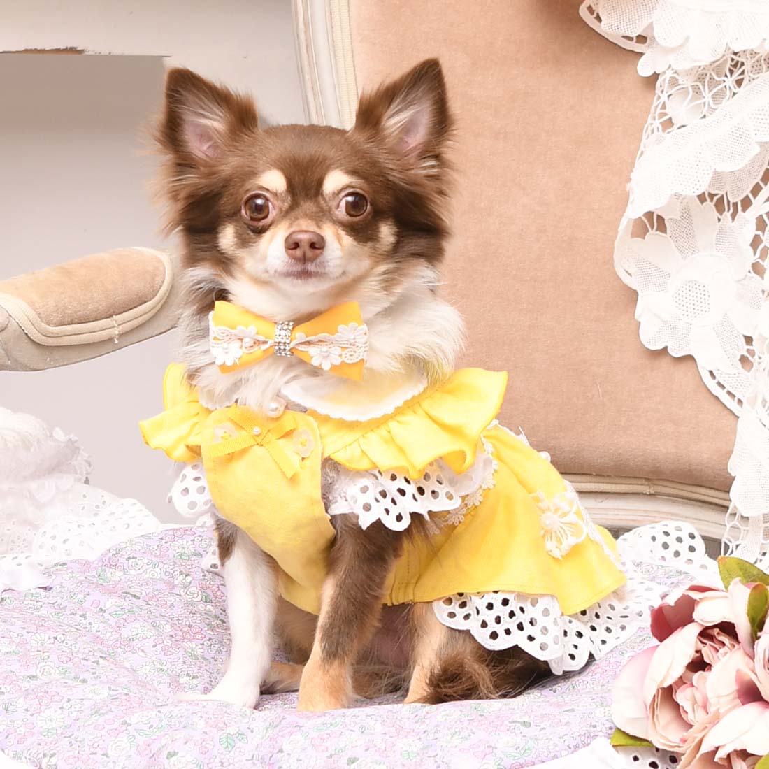 SALE30%OFF】プリシラワンピース – Luxebirdie