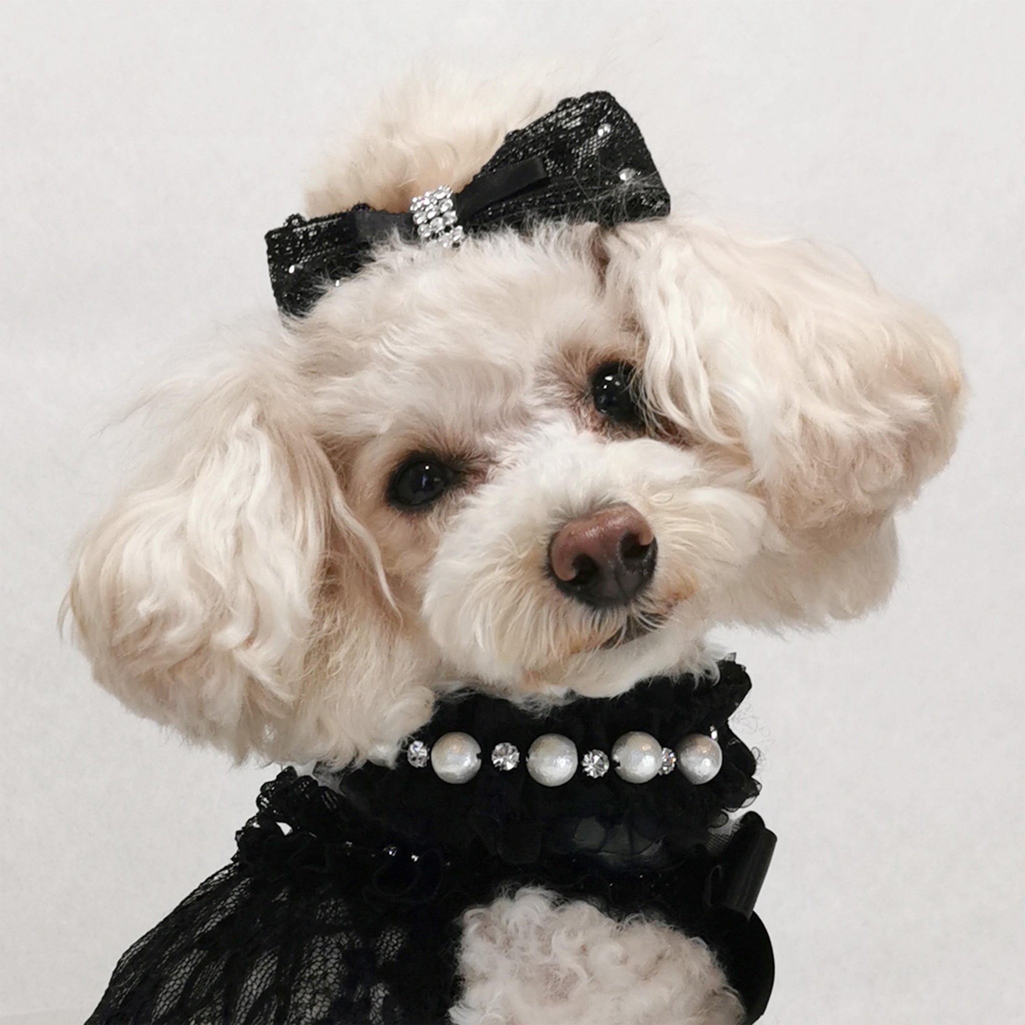 リュクスバーディ コットンパールカラー 25 ブラック 楽天市場】リュクスバーディ Luxe birdie コットンパールカラー