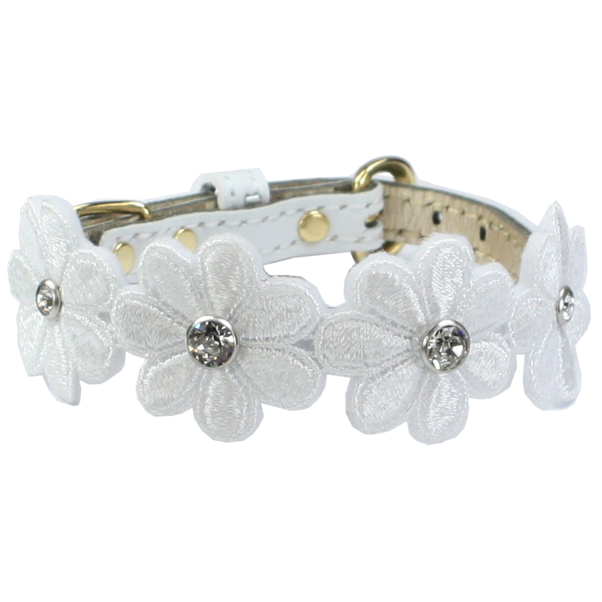 プリシラカラー 21 – Luxebirdie